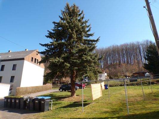 Wäschetrocken- und Müllplatz .JPG