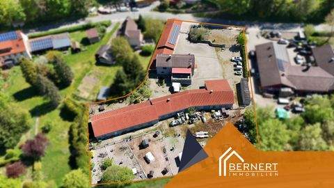 Trebgast Halle, Trebgast Hallenfläche