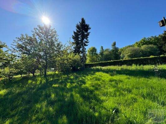 Sonnengeküsste Natur
