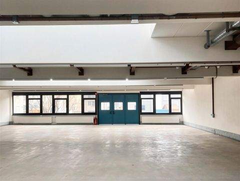 Alzenau Halle, Alzenau Hallenfläche