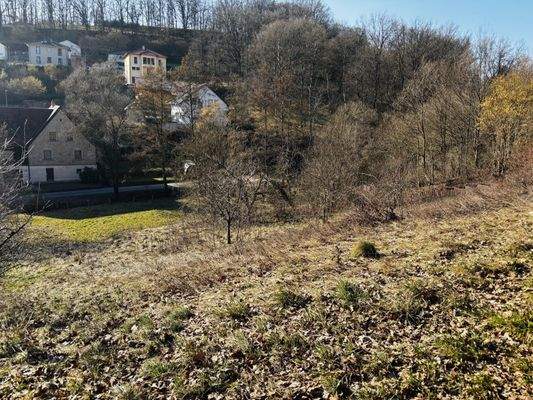 Grundstücksimpressionen im Winter