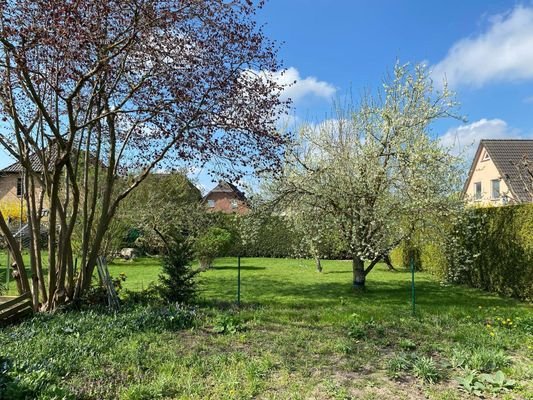 Grundstück, Garten