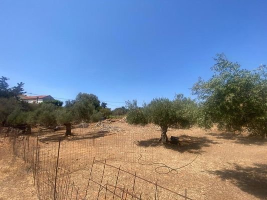 Kreta, Drapanos: Grundstück zu verkaufen im Dorf Drapanos