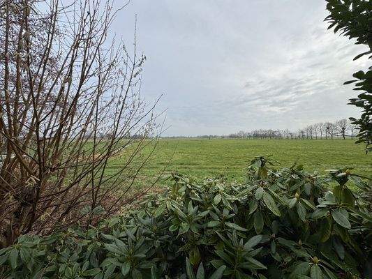 Blick auf die Felder