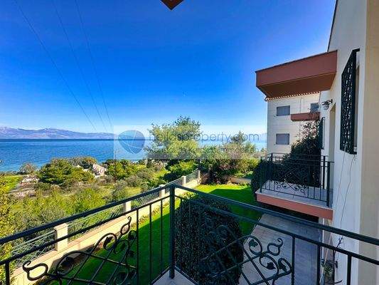 34566c7a7a3d4c01bc2c546639864500-original