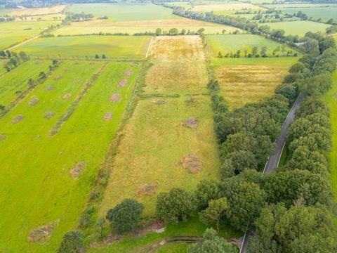 Oldersbek Bauernhöfe, Landwirtschaft, Oldersbek Forstwirtschaft