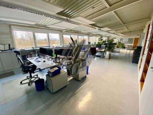 INFOS UNTER: 06171-586000