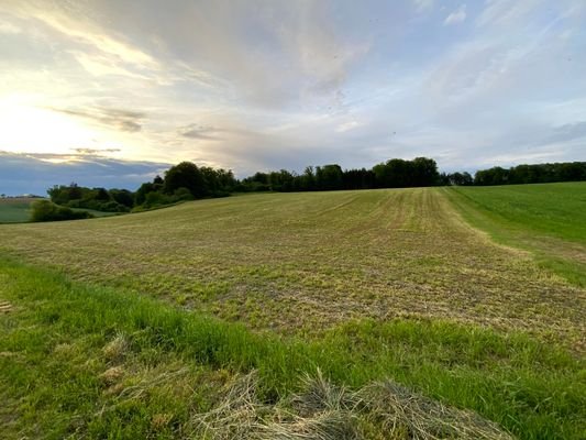 Landwirtschaftliche Fläche