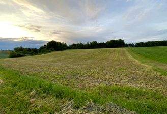 Landwirtschaftliche Fläche