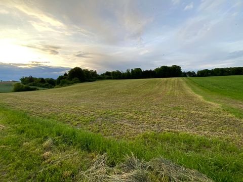 Kipfenberg Bauernhöfe, Landwirtschaft, Kipfenberg Forstwirtschaft