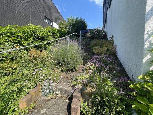 Begrünter Aufgang zu der seitlichen Frühstücksterrasse