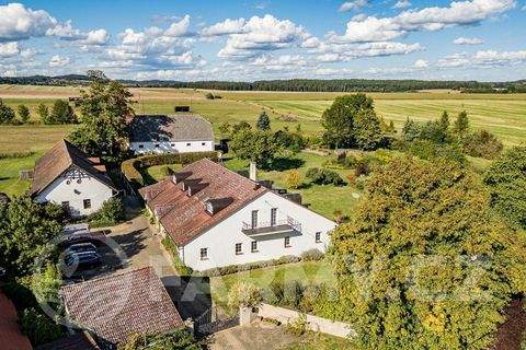 Breznice Bauernhöfe, Landwirtschaft, Breznice Forstwirtschaft