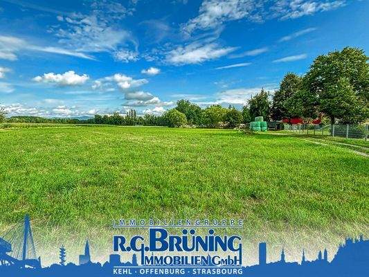 Wiesengrundstück mit Einfamilienhaus in Hesselhurst