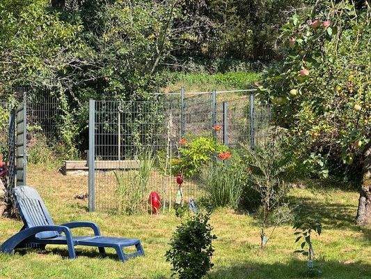 Ausschnitt vom eingewachsenen Grundstück