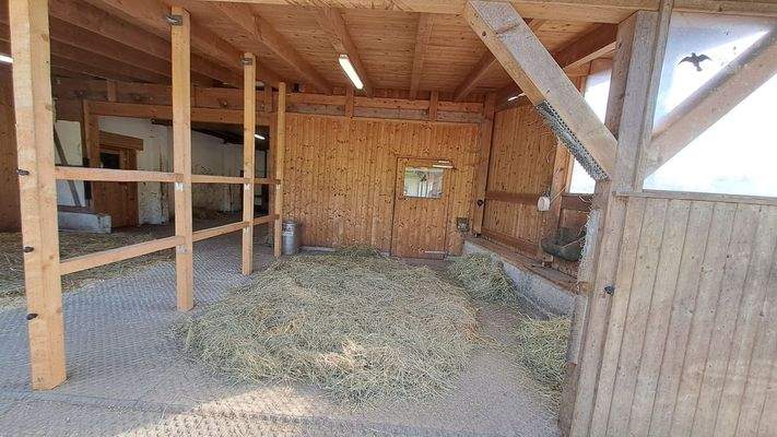 Offenstall mit Tränkebecken