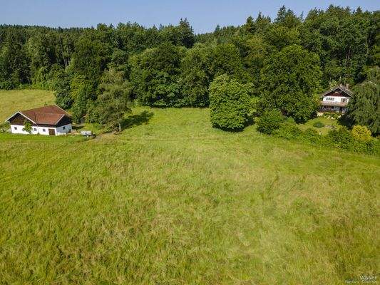 Stallung und der Waldhof