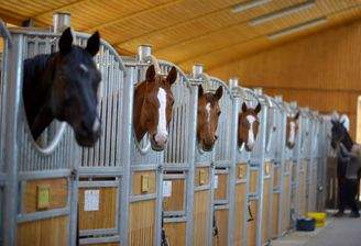 Herzlich Willkommen!