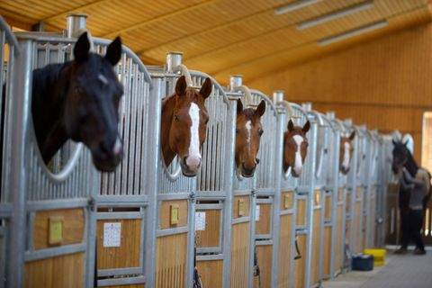 Baierbrunn Bauernhöfe, Landwirtschaft, Baierbrunn Forstwirtschaft