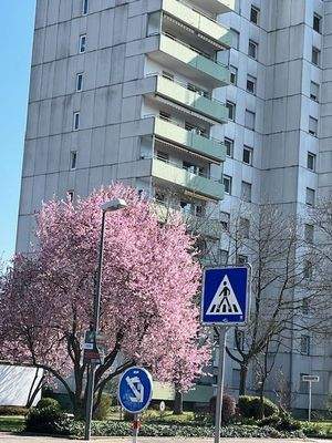 sehr schöne Grünanlage am Haus