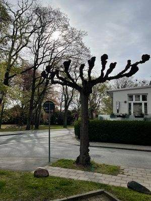 Blick in Richtung Meer.jpg