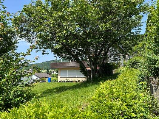 Blick vpm Garten aus