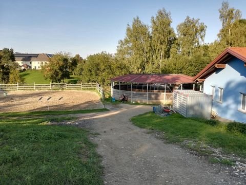 Eggendorf im Traunkreis Bauernhöfe, Landwirtschaft, Eggendorf im Traunkreis Forstwirtschaft