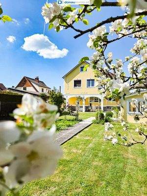 Stadthaus im Waldviertel