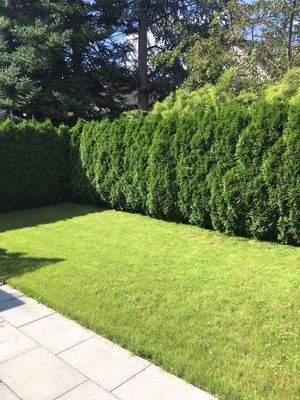 Blick in den Frühstücksgarten