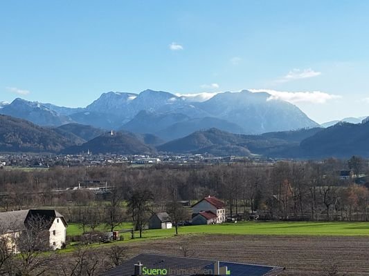 Bild 19