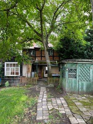 Groß (IMG_6774).jpeg