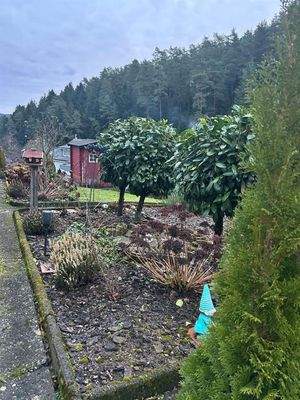 PHOTO-2025-12-02-10-53-25_13