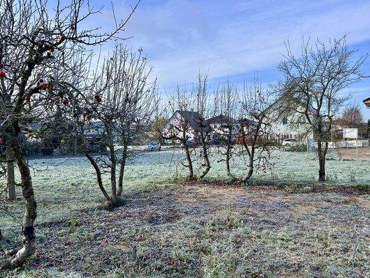 20251121_095847529_iOS