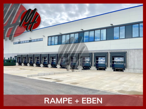 Biebesheim Halle, Biebesheim Hallenfläche