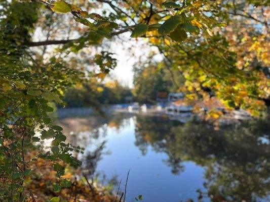 Nähe zur Ilmenau ca. 200m