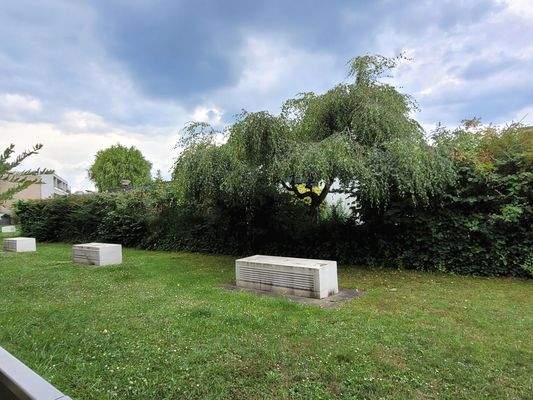 Gemeinschaftsgarten vor der Terrasse
