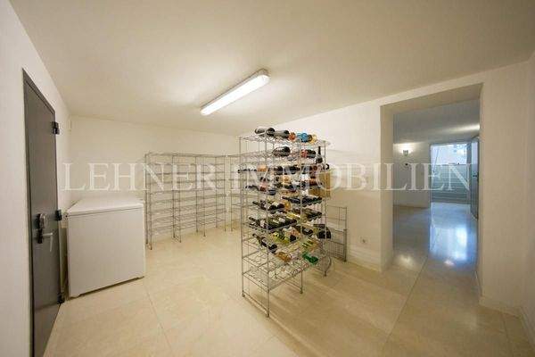 Lehner Immobilien  91