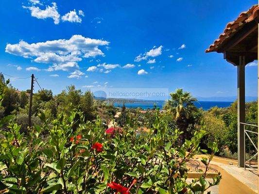 img_0058f9c6-e777-4908-a0e0-61d005d82d27