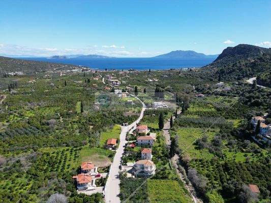 img_d50b262f-c368-48a5-ac3b-98ae4ddf392d