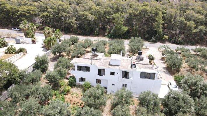 Kreta Sisi - vier Wohnungen in einem großen Garten zur Renovierung