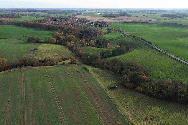 Ansicht hinteres Grundstück Wiesen