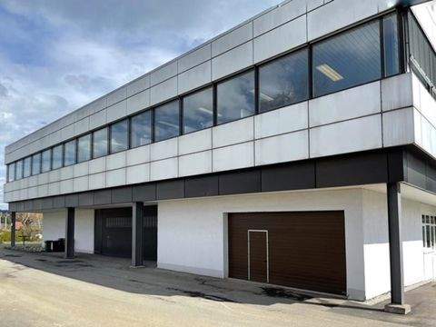 Trossingen Halle, Trossingen Hallenfläche