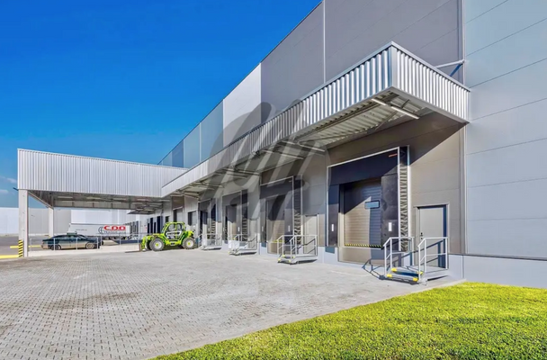 INFOS UNTER: 06171-586000