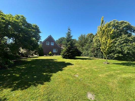 Seitenansicht (4).jpg