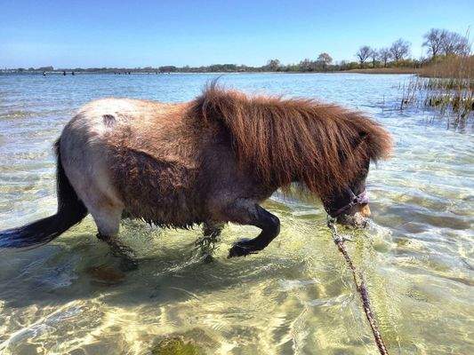Badespaß für jeden