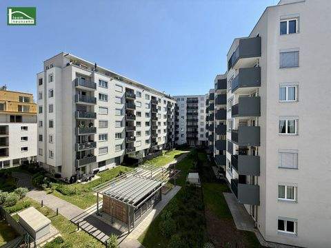 Wien Wohnungen, Wien Wohnung mieten