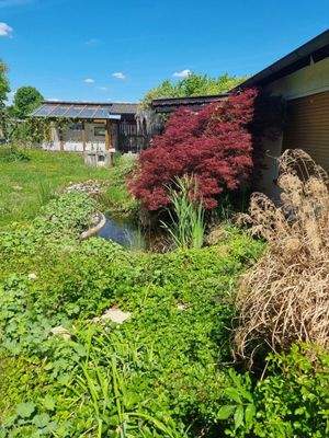 Freisitz, Gartenteich