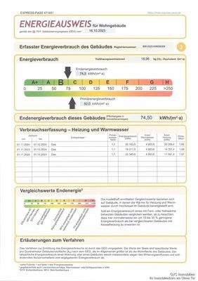 Auszug Energieausweis