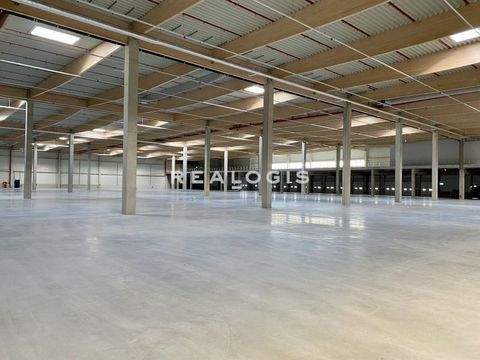 Lensahn Halle, Lensahn Hallenfläche