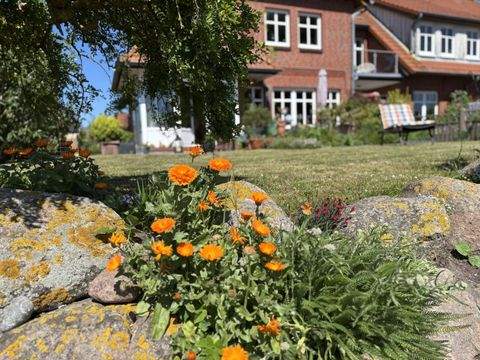 Fehmarn Häuser, Fehmarn Haus kaufen