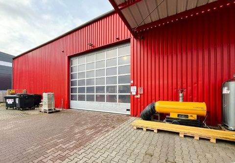 Klingenberg Halle, Klingenberg Hallenfläche